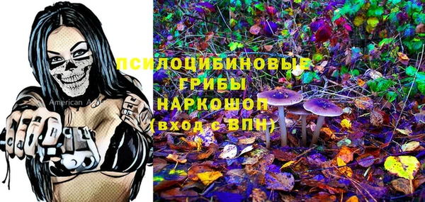 соль ск Алексин