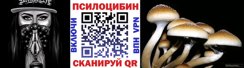 Галлюциногенные грибы прущие грибы  купить закладку  Тайшет 